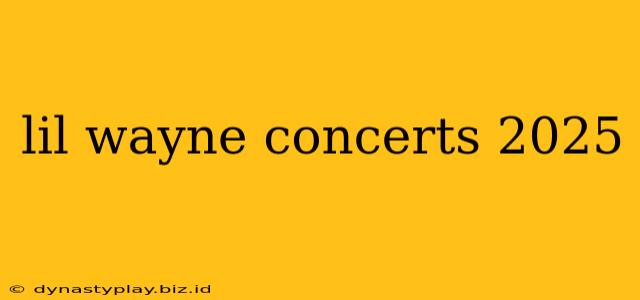 lil wayne concerts 2025