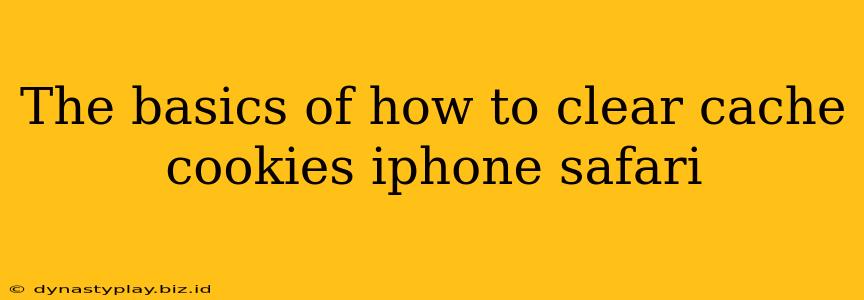 The basics of how to clear cache cookies iphone safari