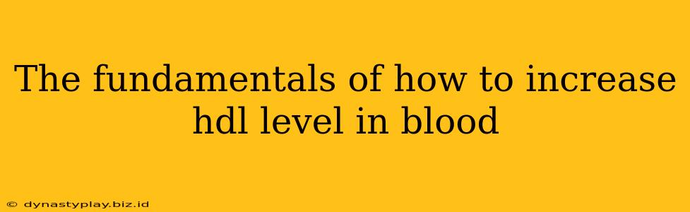 The fundamentals of how to increase hdl level in blood