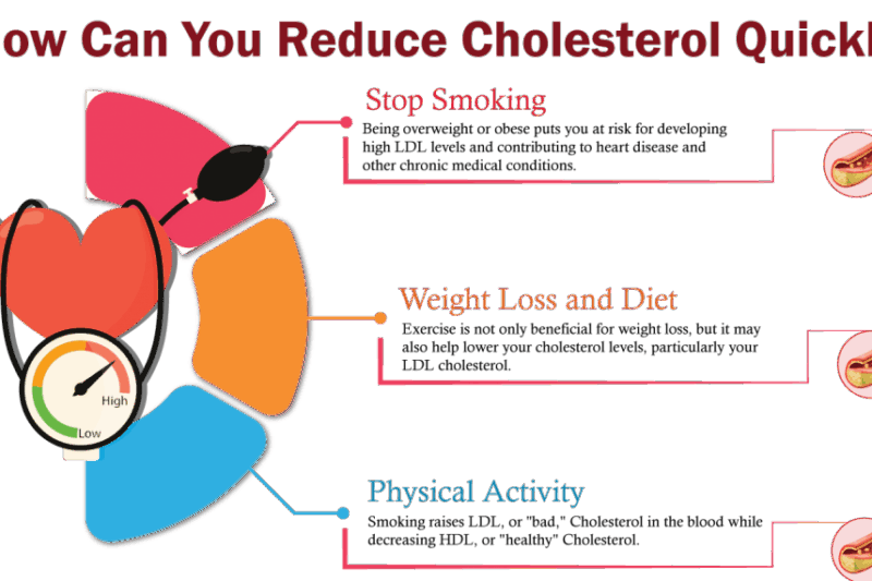 Conquer High LDL Cholesterol: Reddit’s Best Tips & Expert Advice