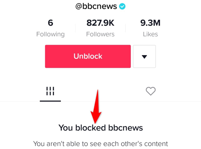 TikTok Block: How to Block a Private Account and Protect Your Space