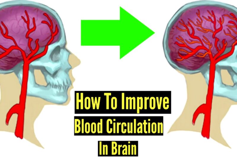 Bright Eyes, Better Sight: Proven Ways to Boost Blood Circulation to Your Eyes