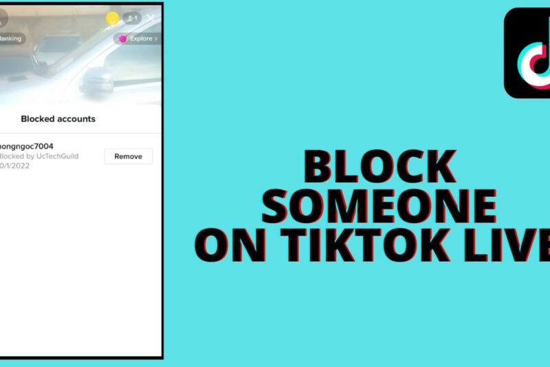 Stealth Mode Activated: How to Block Someone From Seeing Your TikTok Posts