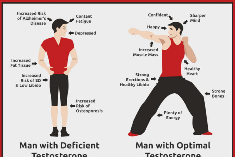 Naturally Boost Your Testosterone: A Comprehensive Guide Without Supplements