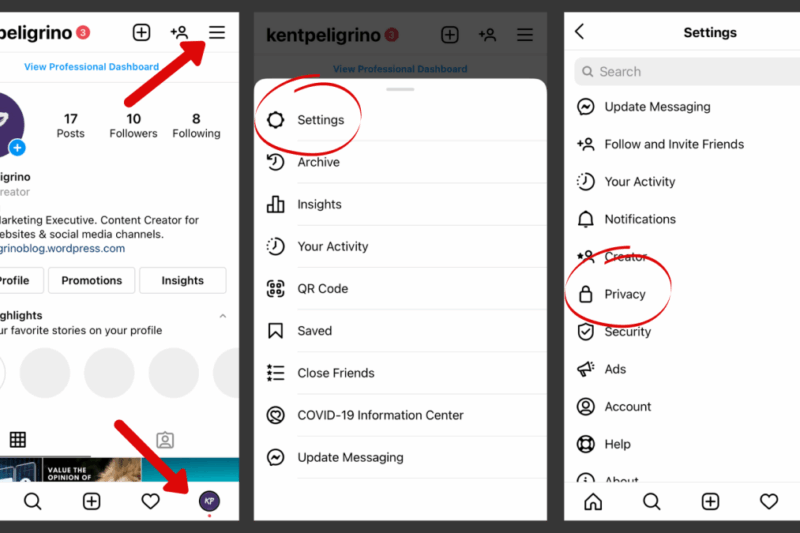 Stealth Mode Activated: How to Turn Off Active Status on Instagram Video and Browse Undetected